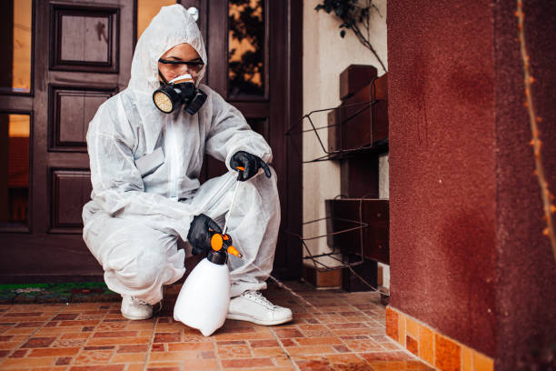 Reliable Wasp Removal contractor in White Bear Lake, MN by Show Me Pest Control